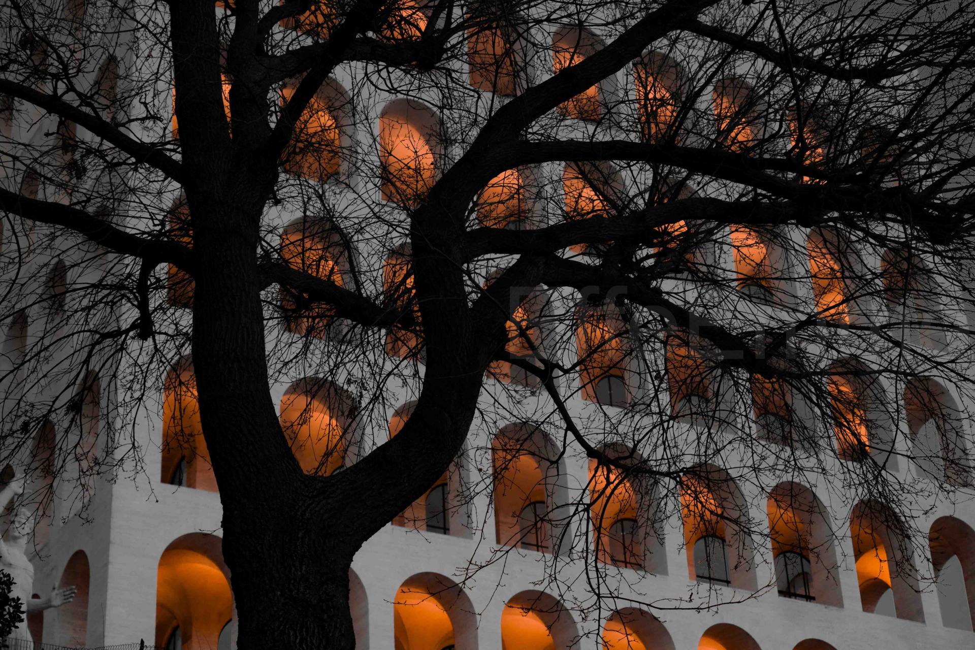 FOTOGRAFIA ARTISTICA